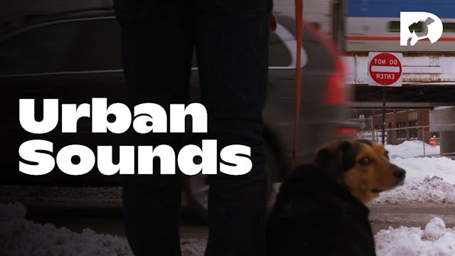 Exposure: Urban Sounds