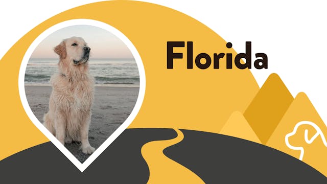 Paws for Love: Florida