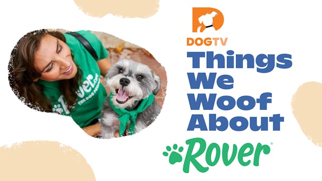 Things We Woof About: Rover