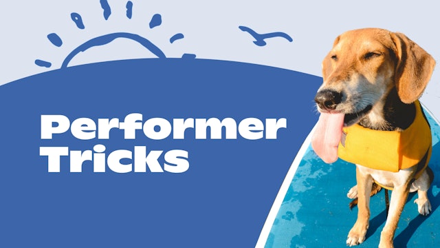 Be Active: Performer Tricks