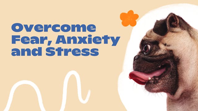 Overcome Fear, Anxiety, and Stress  