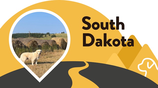 Paws for Love: South Dakota