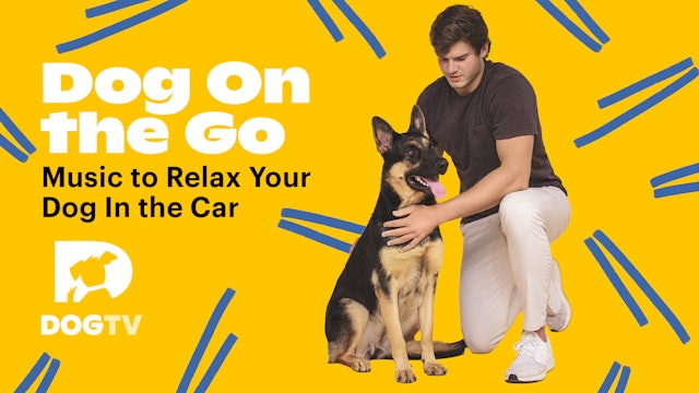Music for Dogs: Dog On The Go