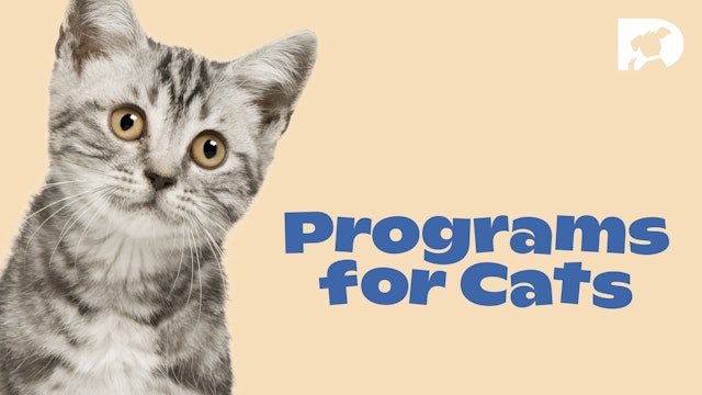 Programs for Cats