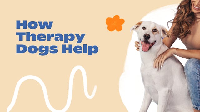 New Normal: How Therapy Dogs Help