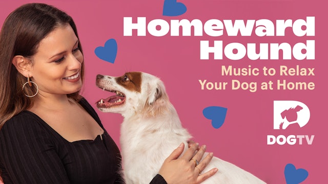 Music for Dogs: Homeward Hound