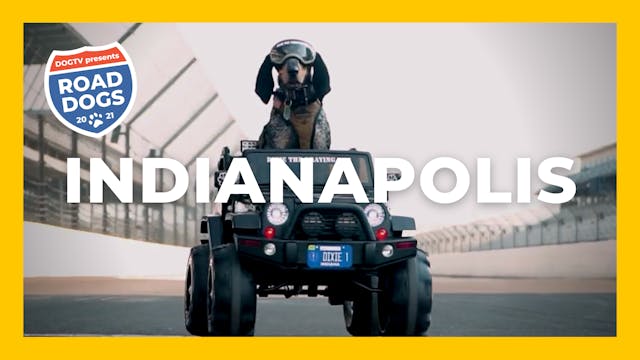 Road Dogs: Indianapolis