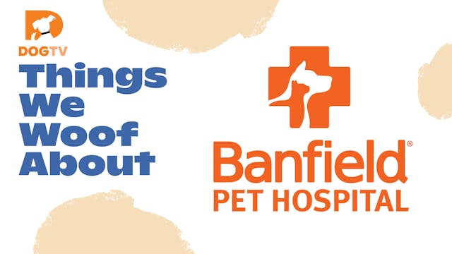 Things We Woof About: Banfield