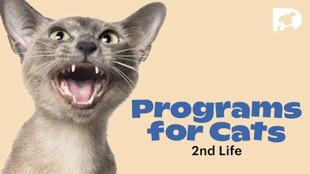 Programs for Cats: Life 2