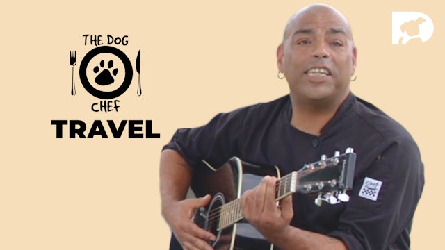 The Dog Chef: Travel