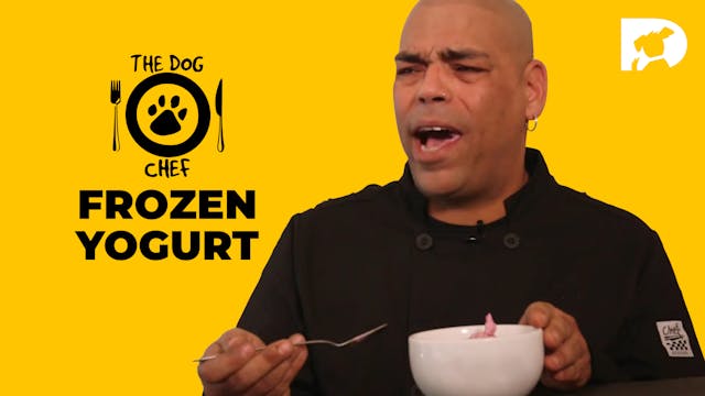 The Dog Chef: Frozen Yogurt