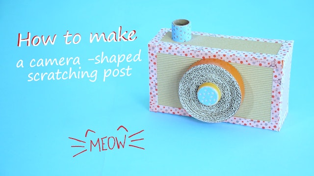 How to Make a Camera Shaped Scratching Post