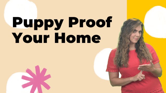 At Home: Puppy Proof Your Home