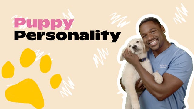 Happy Puppy: Puppy Personality
