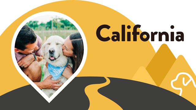Paws for Love: California