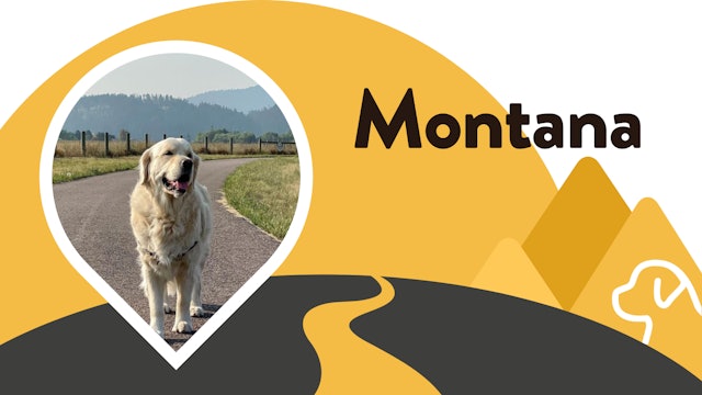 Paws for Love: Montana