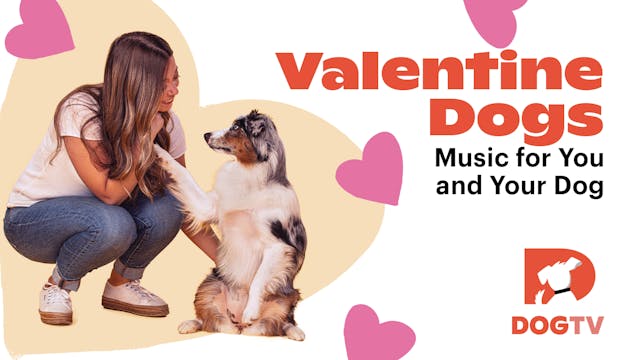 Music for Dogs: Valentine Dogs