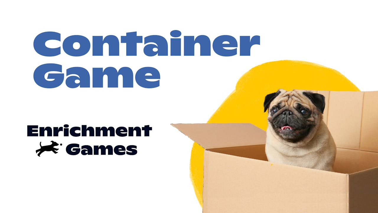 The Container Game DOGTV