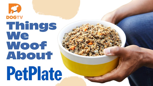 Things We Woof About: Pet Plate