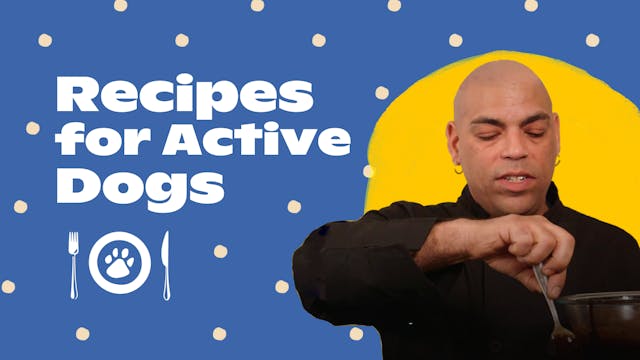 Recipes for Active Dogs