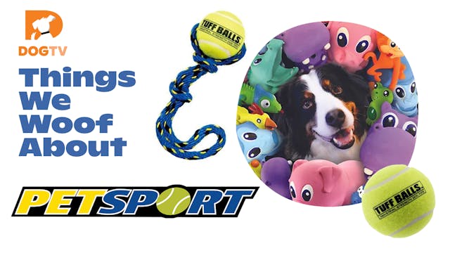 Things We Woof About: Petsport