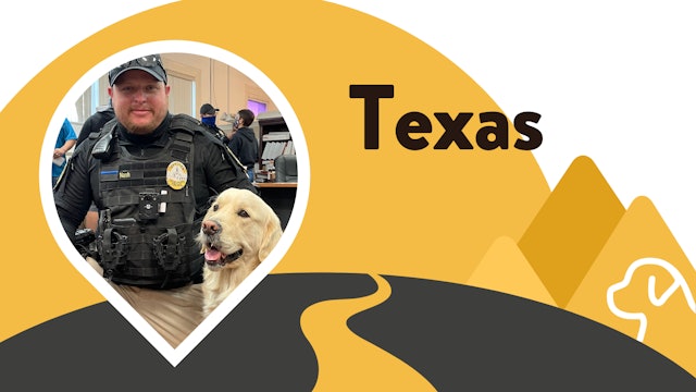 Paws for Love: Texas