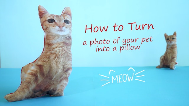 How to Turn a Photo of Your Pet Into a Pillow