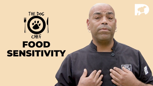 The Dog Chef: Food Sensitivity