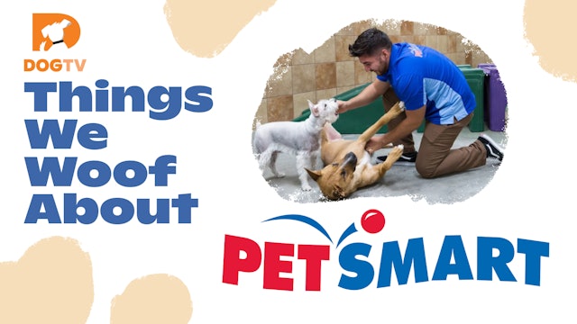 Things We Woof About: Petsmart