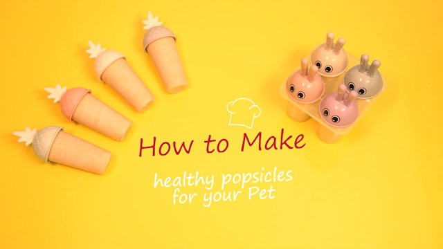 How to Make Healthy Popsicles for Your Pet