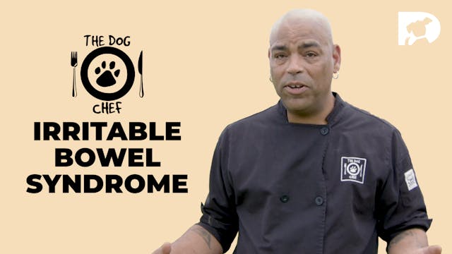 The Dog Chef: Irritable Bowel Syndrome