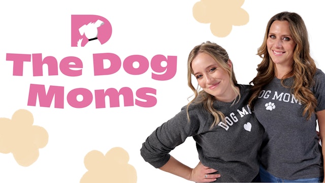 New: The Dog Moms