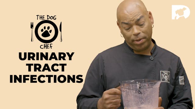 The Dog Chef: Urinary Tract Infections