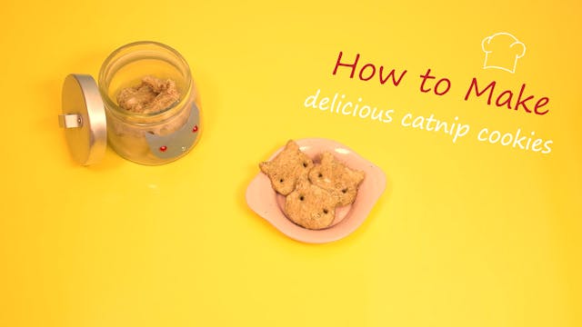 How to Make Delicious Catnip Cookies