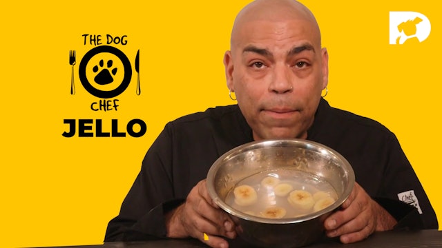 The Dog Chef: Jello