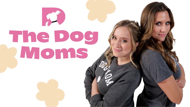 The Dog Moms: Furry Wellness