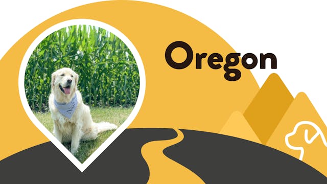 Paws for Love: Oregon