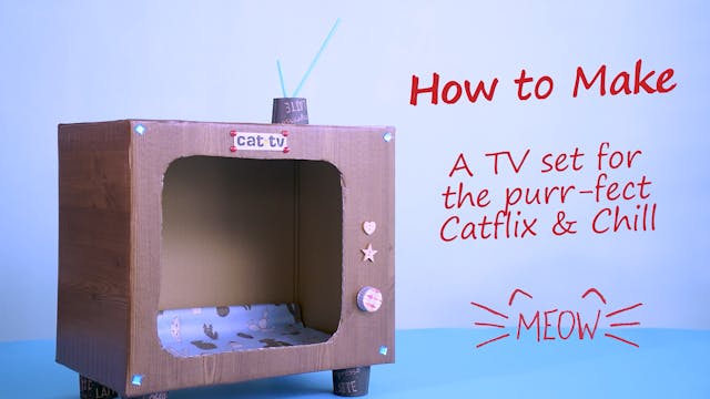 How to Make a TV Set