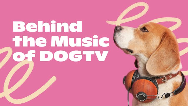 Behind the Music of DOGTV