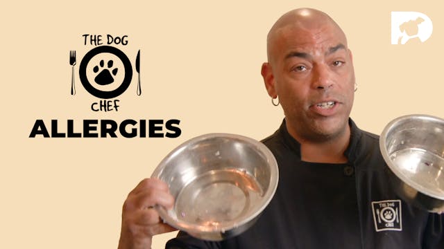 The Dog Chef: Allergies