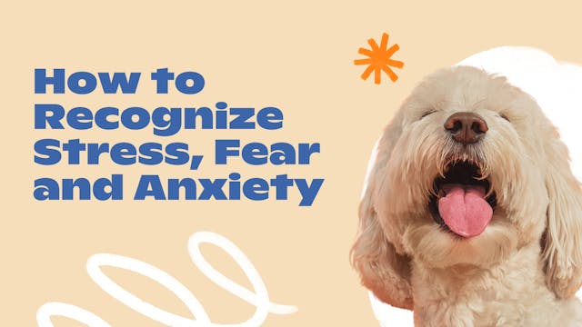 Recognize Fear, Anxiety, and Stress  