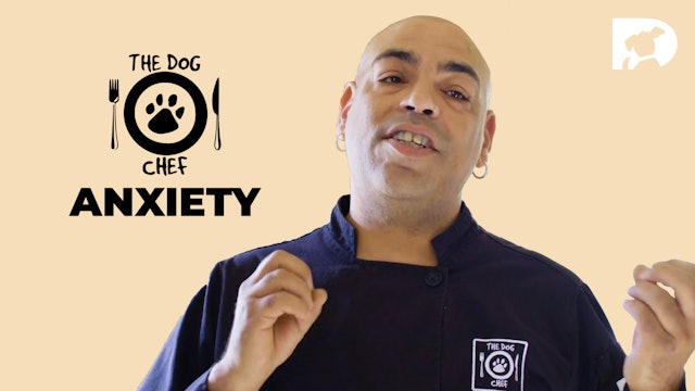 The Dog Chef: Anxiety