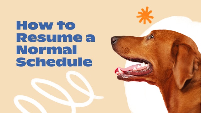 New Normal: How to Resume a Normal Schedule