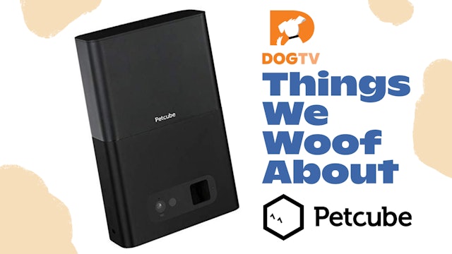 Things We Woof About: Petcube
