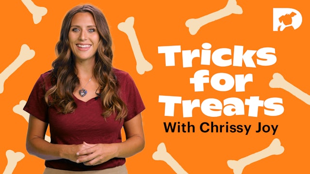 Tricks for Treats with Chrissy Joy