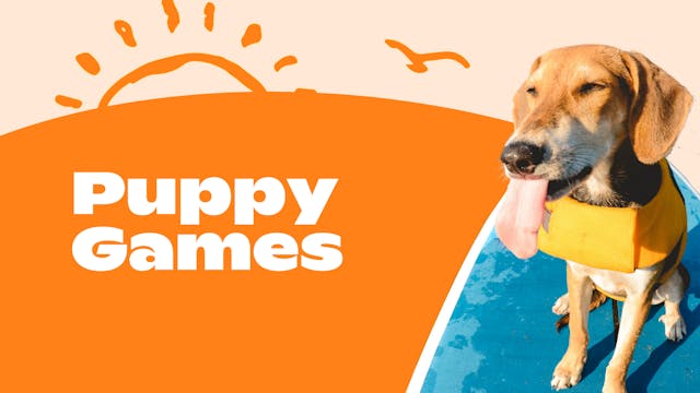 Be Active: Puppy Games