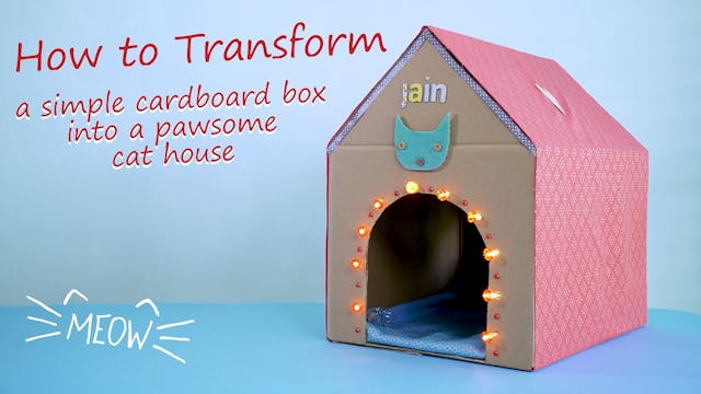 How to Make a Cat House