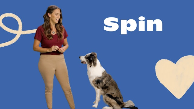 Tricks for Treats: Spin