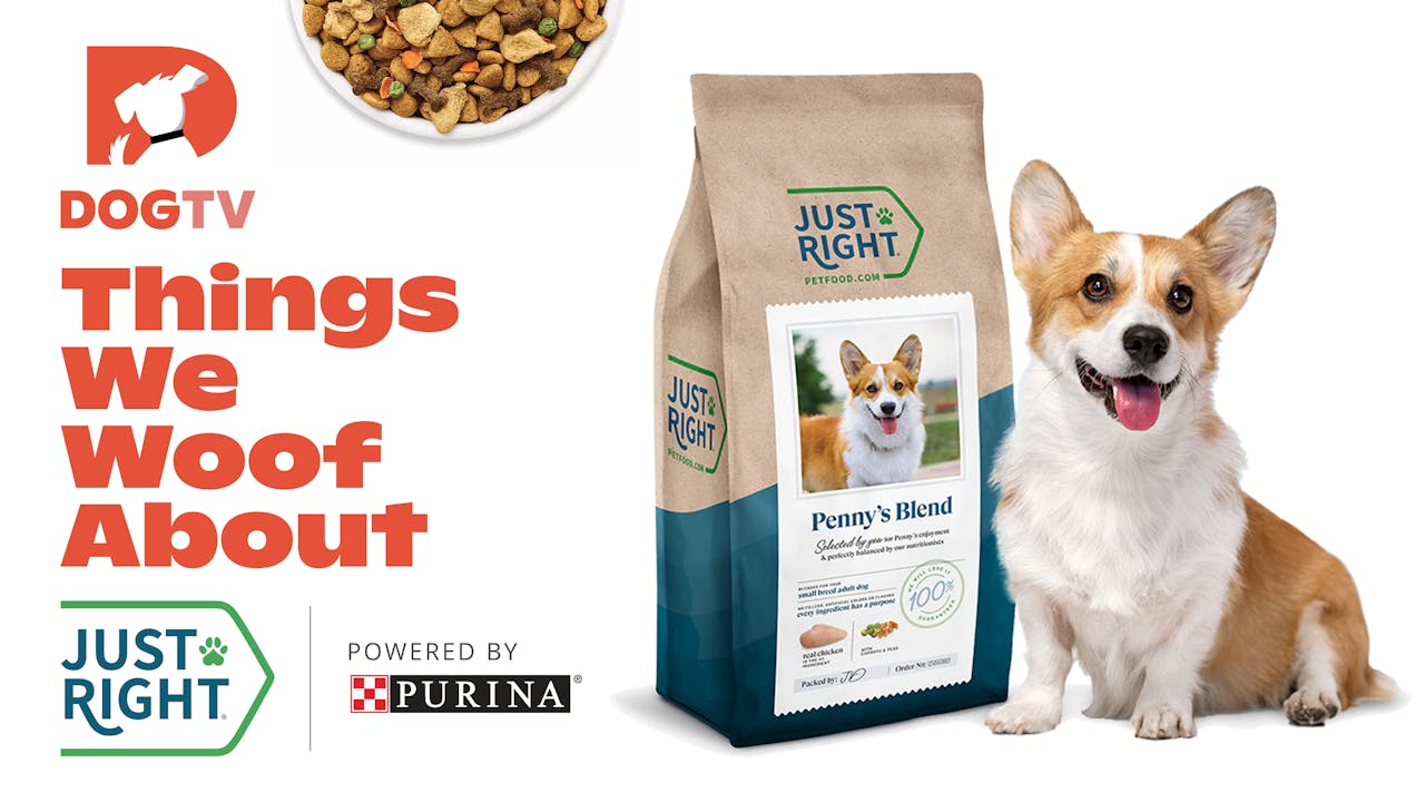 Things We Woof About Just Right by Purina Things We Woof About