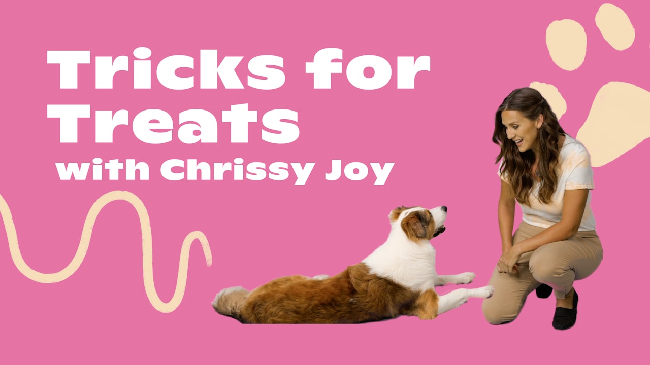 Tricks for Treats with Chrissy Joy